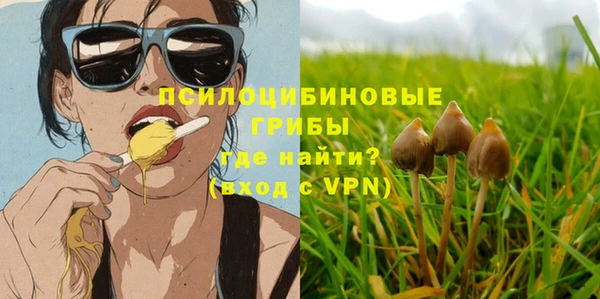 трава Аркадак