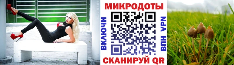 как найти   Кириши  Галлюциногенные грибы Cubensis 